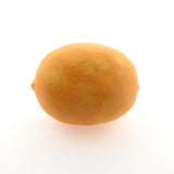 Orange Matte Paper Mache Oval (12 pieces)
